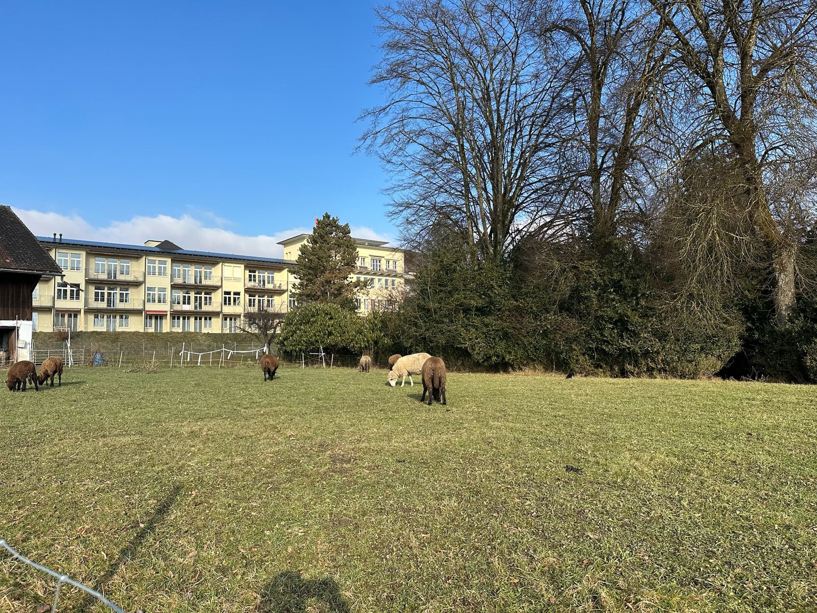 Sechten Überbauung Rüti, Foto 7